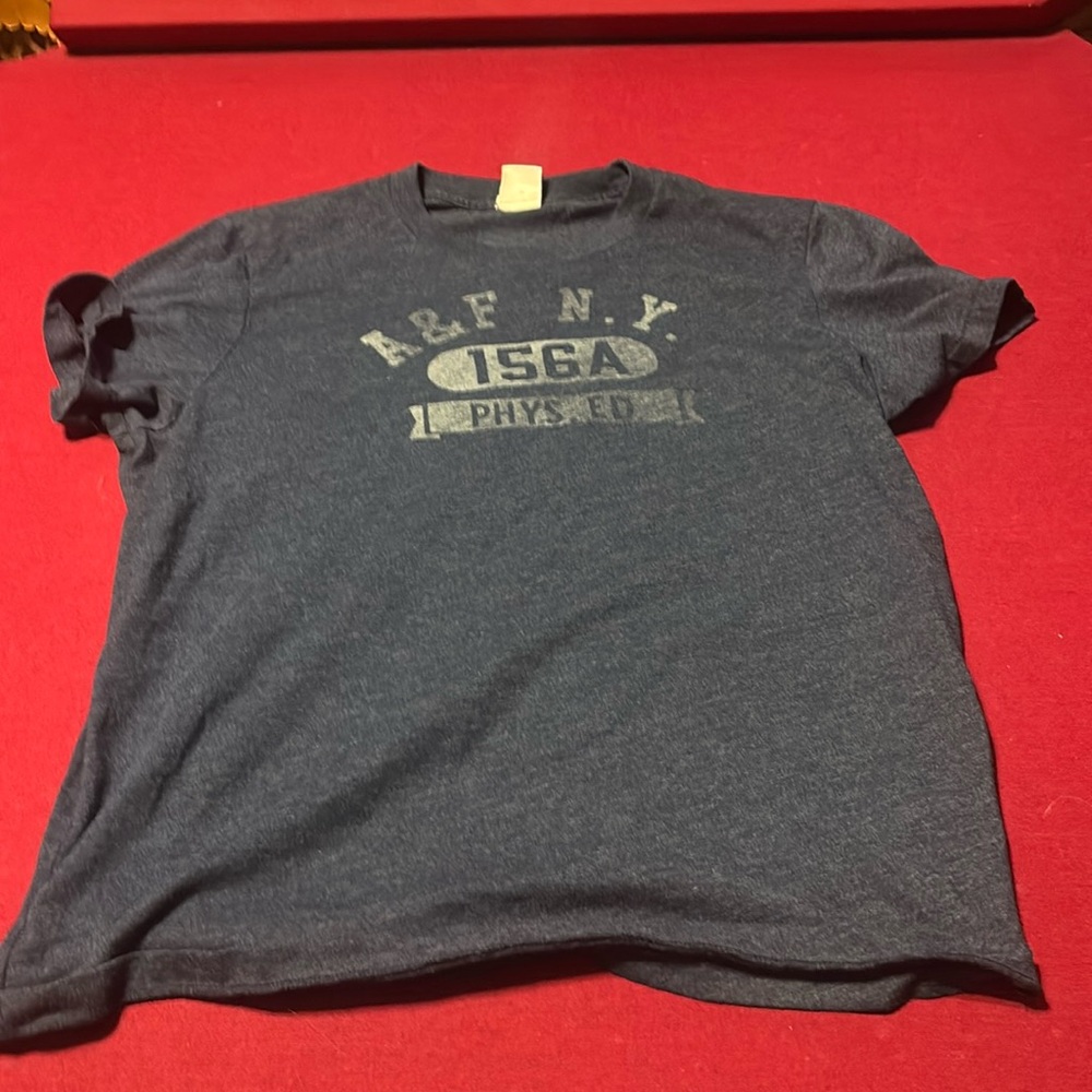Abercrombie and fitch t-shirt